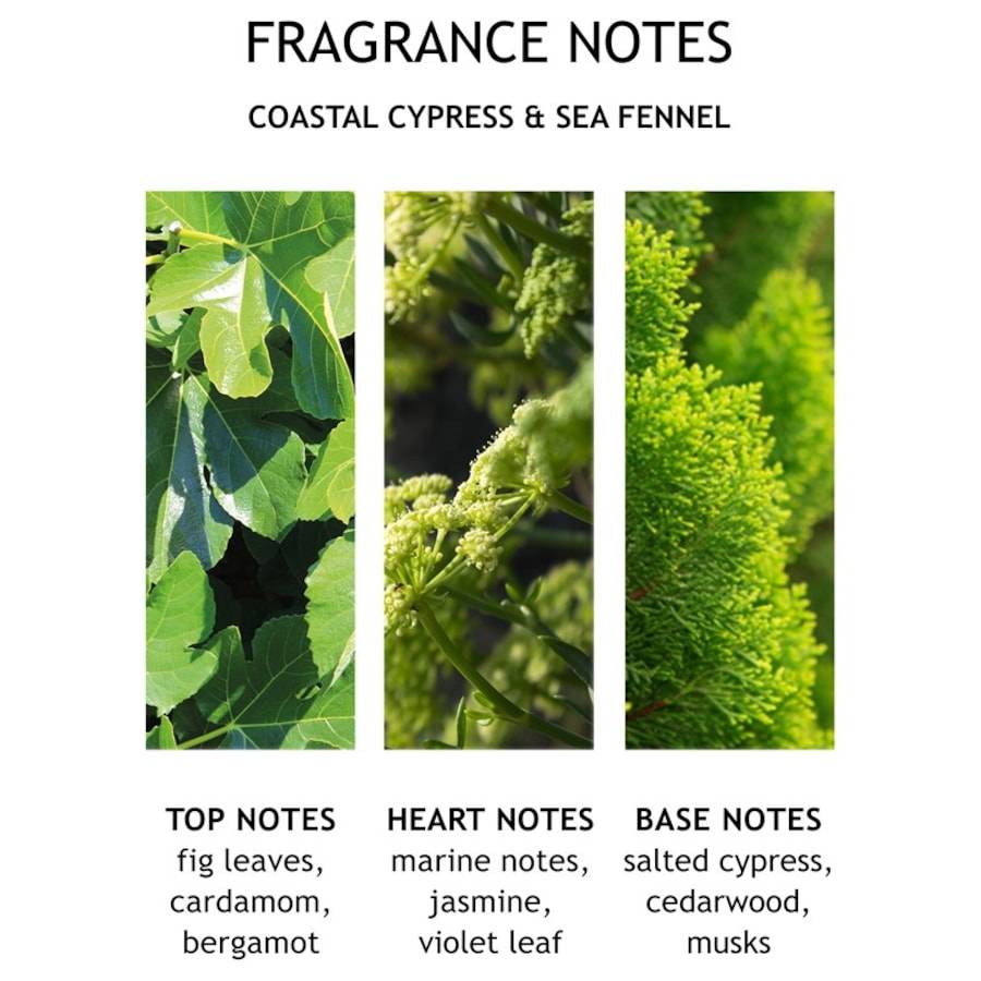 Molton-Brown Coastal Cypress & Sea Fennel Weihnachtsangebot