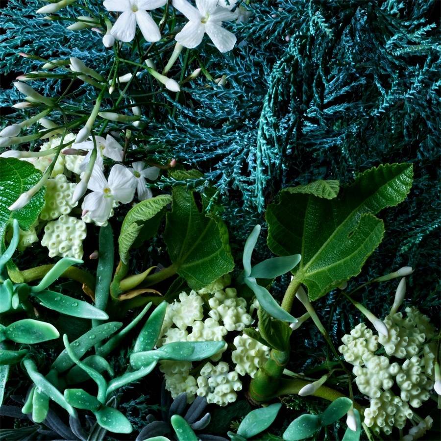 Molton-Brown Coastal Cypress & Sea Fennel Weihnachtsangebot