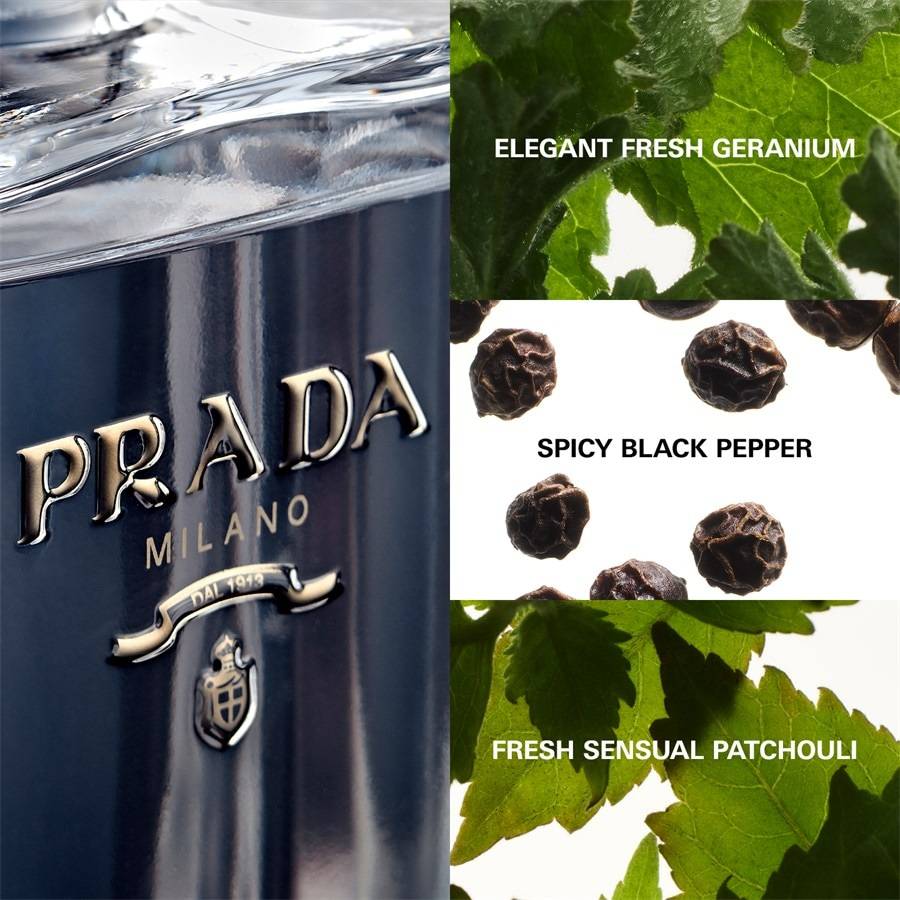 Prada L'Homme Flash Sale