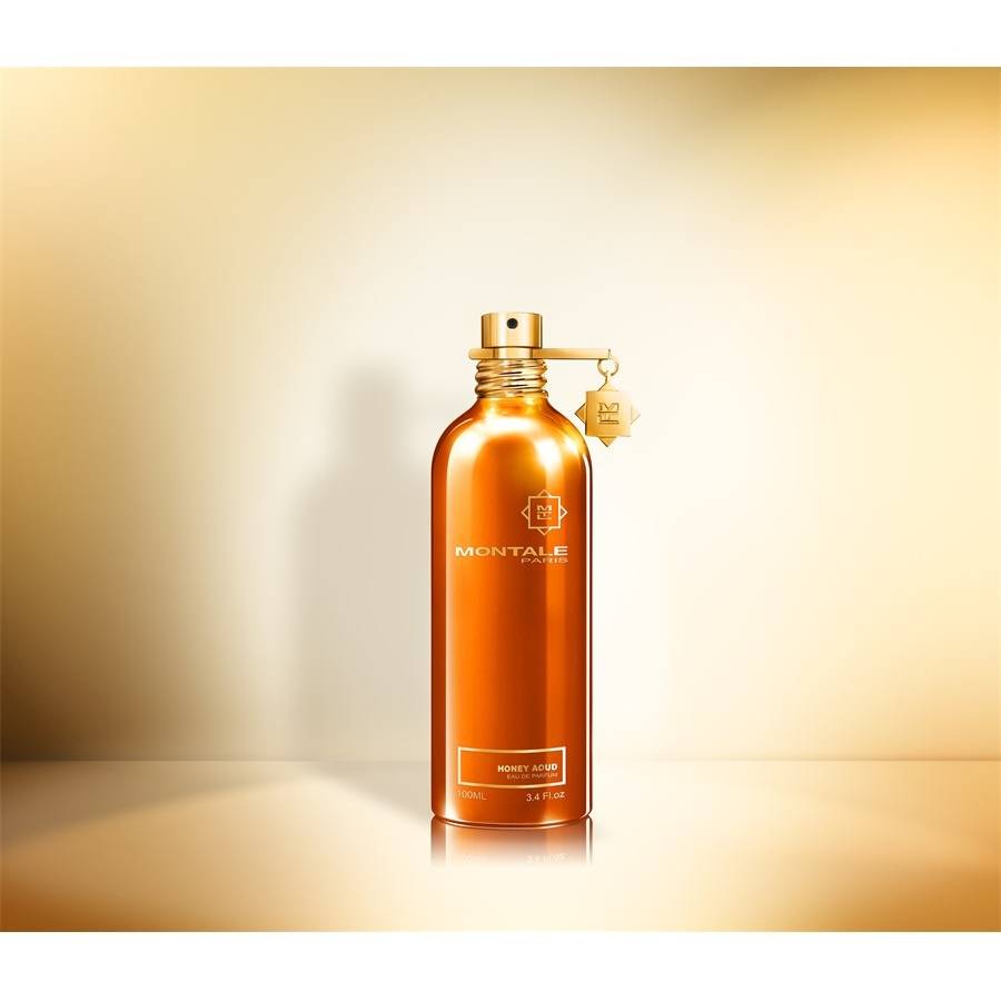 Montale Oud Top Angebot