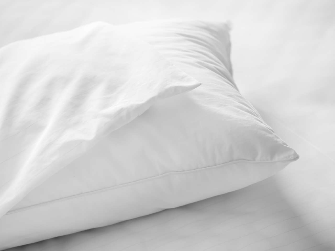 allermed Allermed Encasing pillow mite cover pillow Großer Ausverkauf