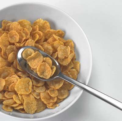 davert Cornflakes Unsweetened Fabrikladen