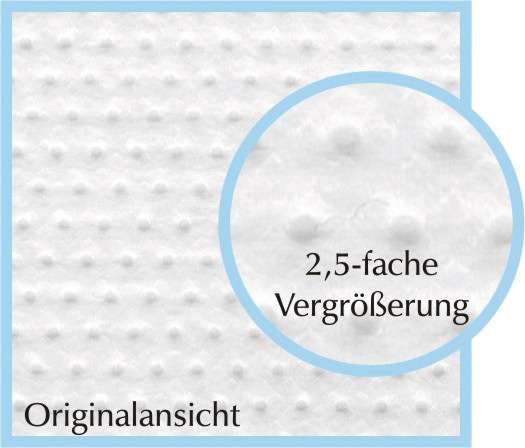 pulmanova Anti-allergic Mattress Cover Top Angebot