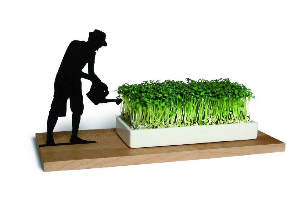 side-by-side Cress Dish "Smart & Green" Begrenzte Freigabe