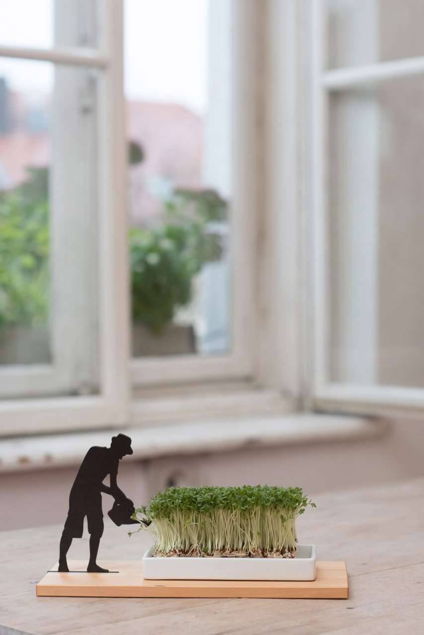 side-by-side Cress Dish "Smart & Green" Begrenzte Freigabe