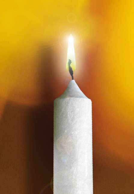 purenature Stearin Stick Candle (Set of 4) champagne Fabrikladen