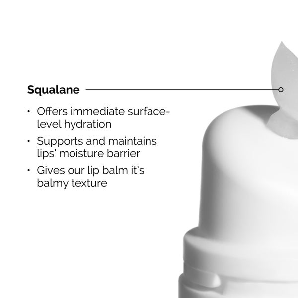 The Ordinary Squalane and Amino Acids Lip Balm 15ml Hotsell