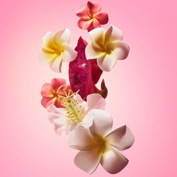 Sol de Janeiro Beija Flor Elasti-Cream 75ml Saisonale Angebote