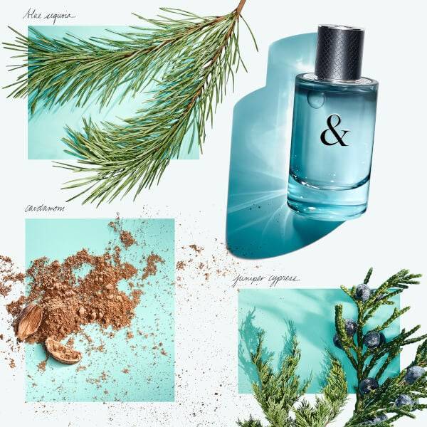 Tiffany & Co. & Love for Him Eau de Toilette 50ml Bestseller
