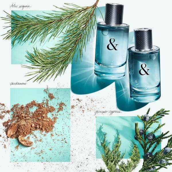 Tiffany & Co. & Love for Him Eau de Toilette 50ml Bestseller
