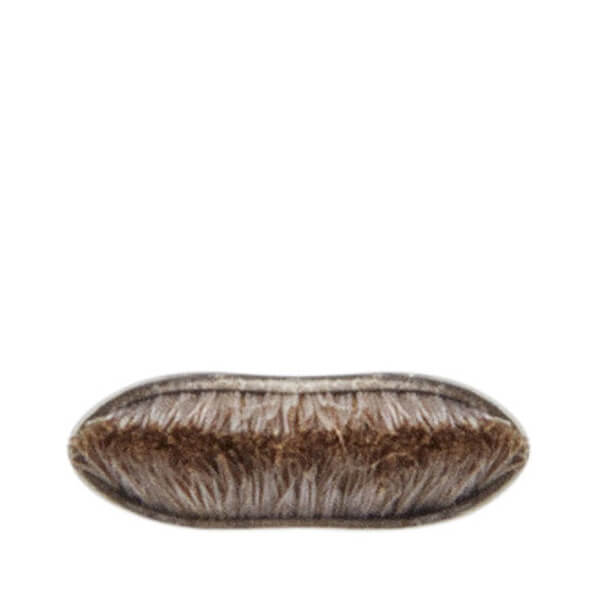 MAC 263 Small Angle Brush Nur für heute