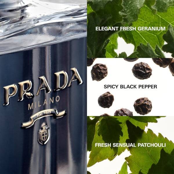 Prada L'Homme L'Eau de Toilette - 50ml Begrenzte Freigabe