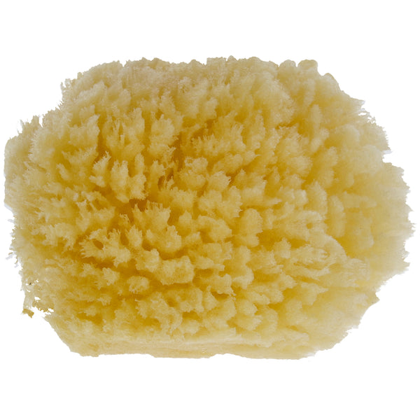 Parsa Beauty PARSA Baby Naturmeeresschwamm Mini Letzte 2 Tage