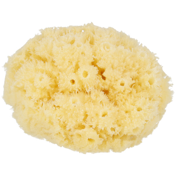 Parsa Beauty PARSA Baby Naturmeeresschwamm Mini Letzte 2 Tage