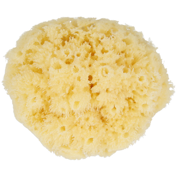 Parsa Beauty PARSA Baby Naturmeeresschwamm Mini Letzte 2 Tage