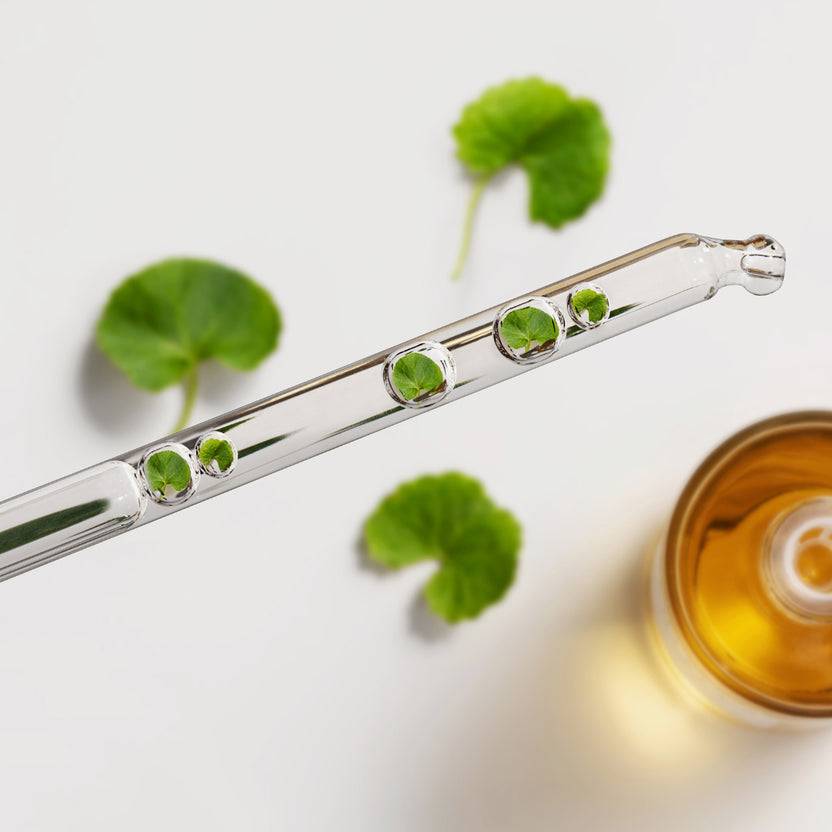 SKIN1004 Madagascar Centella Ampoule (100ml) Begrenzte Freigabe
