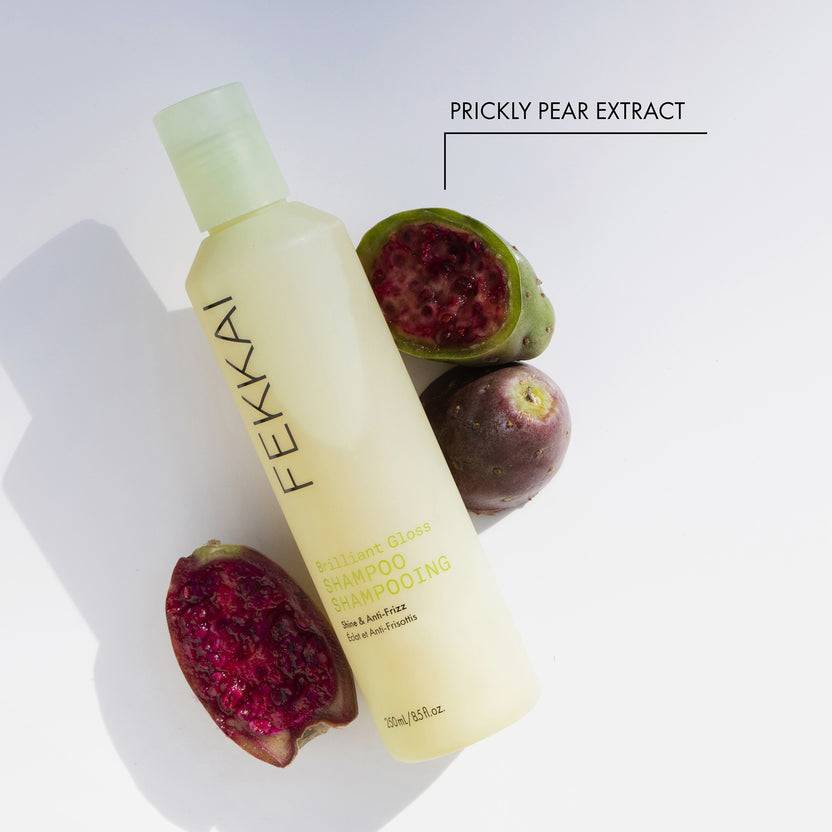 FEKKAI Brilliant Gloss Shampoo (250ml) Flash Sale
