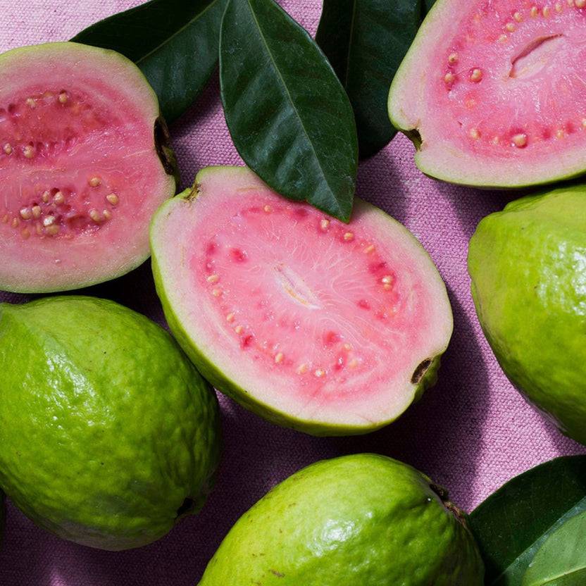KORRES GUAVA Showergel 1+1 Set Saisonschlussverkauf