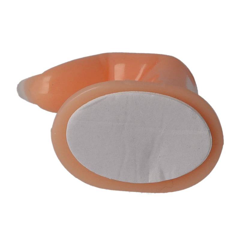 Sun Garden Nails Übungsfinger für Tips und Schablone Meist gekauft