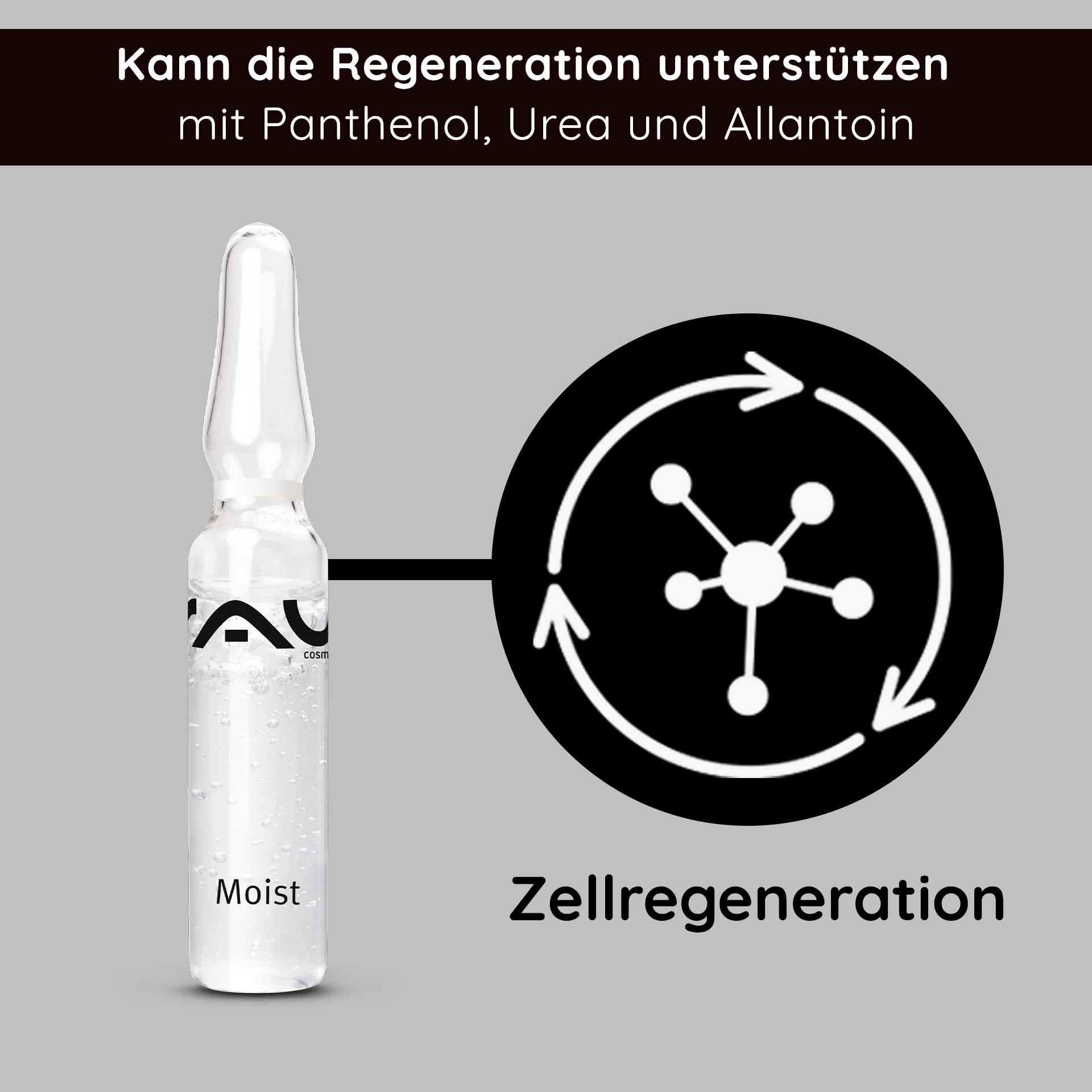 Rau Cosmetics Moist Ampullen 10x2 ml mit Hydrolite & Hyaluron Fabrikladen